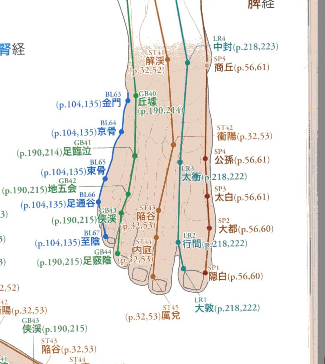 足ツボでセルフケア 横浜市旭区の鍼灸 整体なら うさぎ鍼灸整体院 肩こり 腰痛 不妊未妊 逆子鍼灸 希望ヶ丘駅徒歩8分